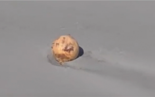 日本海岸发现不明球状物：直径约1.5米、两端有凸起