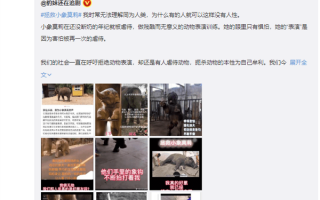 明星陈乔恩为拯救小象莫莉发声上热搜 大家应拒绝动物表演：引网友争议
