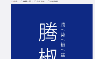 比亚迪高端品牌腾势粉丝名正式公布：“藤椒”出圈 别称还有“白总管”