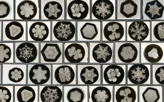 如何证明世界上没有一片相同的雪花？Wilson Bentley 一生拍摄 5000 多幅冰晶特写照片