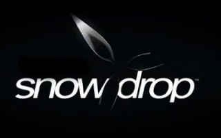 AMD宣布与育碧达成合作：协助优化Snowdrop引擎性能