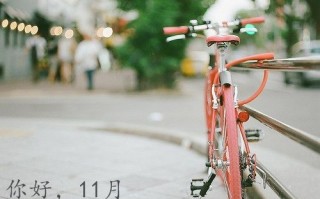 2022十月再见十一月你好朋友圈素材图片（关于11月你好的唯美图片）