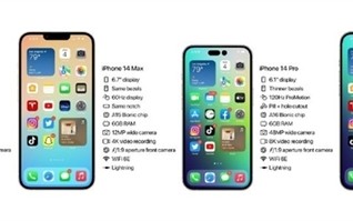 苹果放弃iPhone 14 mini版：背后原因引人深思