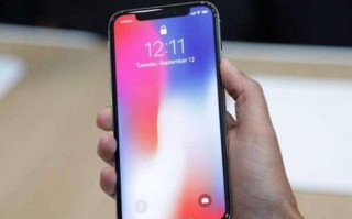 你觉得国内首批iPhone X的供货量有多少?