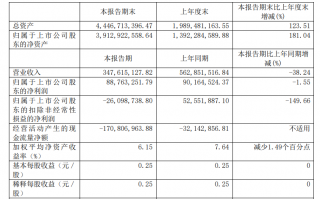 「国产 CPU 龙头企业」龙芯中科上半年营收 3.48 亿元，同比下降 38.24%
