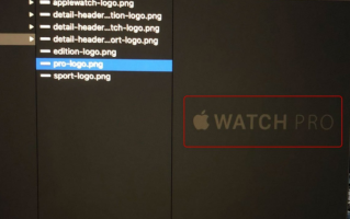 苹果“Apple Watch Pro”品牌名称 Logo 曝光