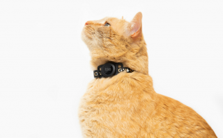 Tile 推出猫咪专用的蓝牙追踪器，售价 39.99 美元