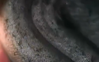 百斤大蟒蛇潜伏在村民鱼塘内偷吃：属国家二级保护野生动物