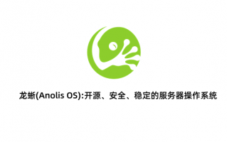 国产Anolis OS 23龙蜥操作系统明年上线：通吃x86/ARM/RISC-V等CPU架构