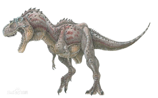 7600万年前恐龙骨架将拍卖：霸王龙表亲 高3米