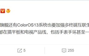 基于Android 13定制的OPPO ColorOS 13曝光：3年不卡