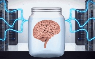 科学家挖出一小碟人脑教它打游戏 5分钟上手虐打AI