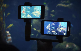 Pixel 2拍照对决iPhone X 谁说只有双摄才能为所欲为