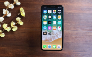 万元神机！iPhone X开箱图赏：5.8英寸手感绝了