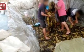 酸菜风波背后：市场规模近百亿 有企业获亿级融资