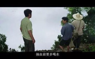 卖血多少钱一毫升,卖血犯法吗判几年