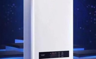 世界十大燃气热水器排名（燃气热水器推荐）
