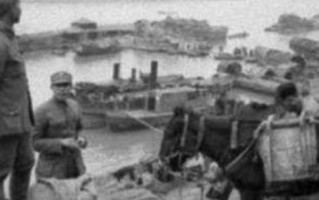 桐油价格多少钱一斤（2021桐油价格表）