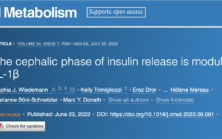 减肥人士要哭：食物不吃看看也不行 会导致激素紊乱