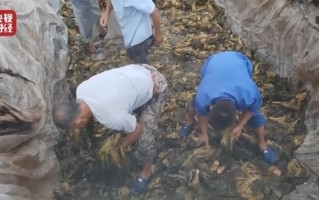 你还吃吗？“老坛酸菜”标准来了 官方称与脚踩土坑酸菜无关