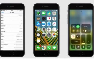 发布24小时之后 iOS 11安装率已达 10.01%