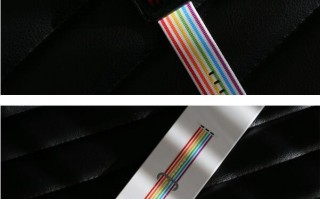 Apple Watch彩虹表带图赏：非常好看！