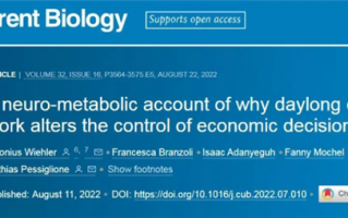 脑子转不动了？研究发现大脑用6小时就会堆积“毒素”