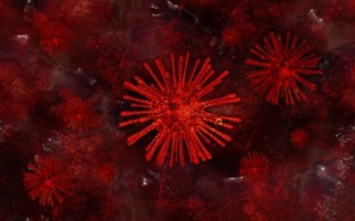 我国两周出现10种新冠病毒变异株！它们从哪儿来的？