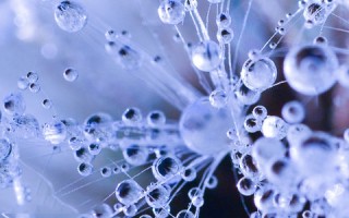 小雪朋友圈唯美祝福语说说 小雪快乐祝福语文案