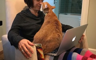 网飞期待《狩魔猎人》新季新气象