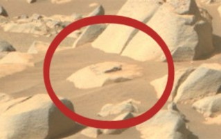 UFO专家晒NASA照片证明火星生命100%存在：感受下