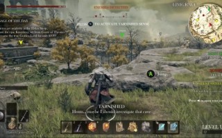 如果《艾尔登法环》是一款网游 网友：有内味儿了