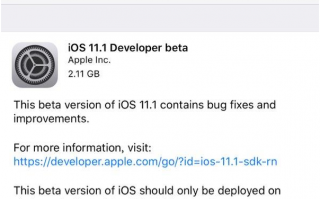 苹果iOS 11.1首个Beta版系统发布