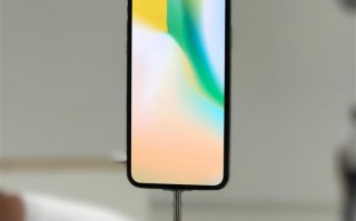 苹果联合创始人吐槽iPhone X失败：不会排队抢购