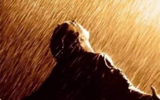 评分高的十部电影（近年高评分国产电影推荐）