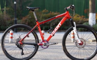 碳纤维自行车品牌排行（最贵碳纤维自行车排行榜前十名）