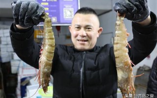 大个头海虾多少钱一斤（海虾图片价格）