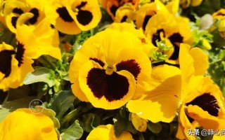 我们的日子平淡如水 却流淌着丰富的味道