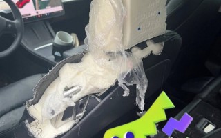 车主打开特斯拉“宠物模式” 将牧羊犬留在车内！回来一看崩溃