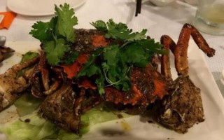 东南亚料理有什么好吃的（北京东南亚有特色的代表菜）