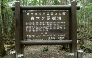 乔任梁为什么结束自己的生命,乔任染得抑郁症自杀的原因