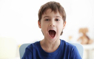 辅音与声母,元音与韵母的区别（声母与辅音的区别与联系）