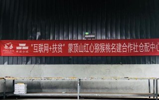 苹果公司援助5000万雅安重建 5年后我们来看新的变化