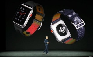 苹果给力！今年有两款新品被评为成功案例