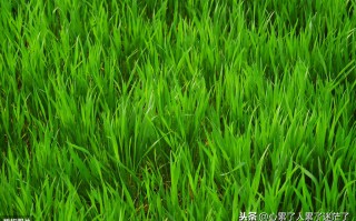 温馨家的说说心情短语（享受家的温馨简单说说）