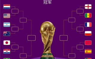 世界杯16强对阵韩国挺进 葡萄牙主帅称韩球员侮辱了C罗：韩网友发帖还击