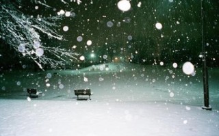 形容下雨的句子唯美（下雨的浪漫唯美句子）