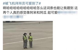 “飞机拜拜员”回应意外走红 网友直言被可爱到了：职业揭秘太厉害