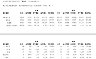 比亚迪 7 月新能源汽车销量 162530 辆，今年累计达 80.39 万辆同比增长 292.00%