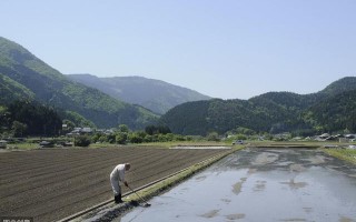 农村水库搬迁补偿标准（建水库搬迁补偿标准）